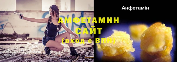 гидра Осинники