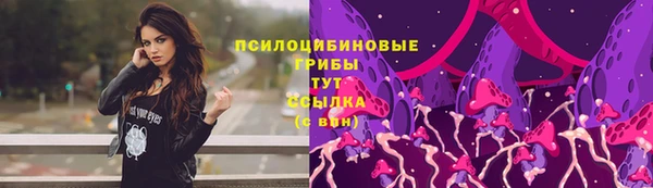 гидра Осинники