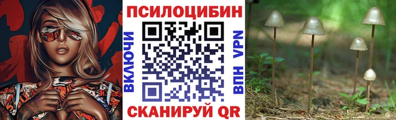 Псилоцибиновые грибы GOLDEN TEACHER  дарнет шоп  Краснодар 