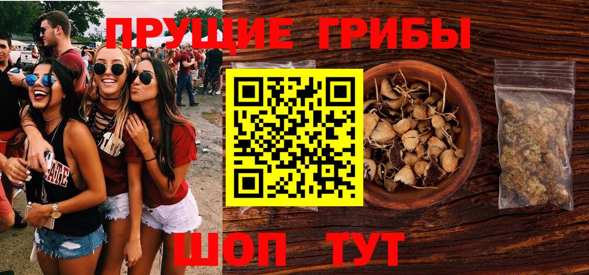 Псилоцибиновые грибы Cubensis Краснодар