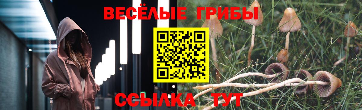 Галлюциногенные грибы Cubensis  Вход с VPN  Краснодар 