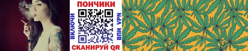 Бошки Шишки семена Краснодар